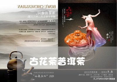 古花茶普洱茶/2023042755592