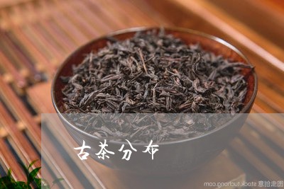 古茶分布/2023090176957