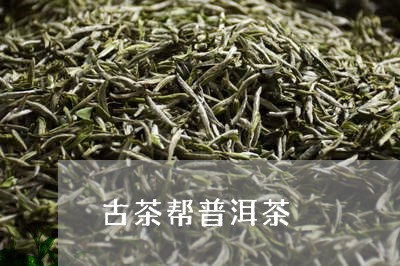 古茶帮普洱茶/2023042951660