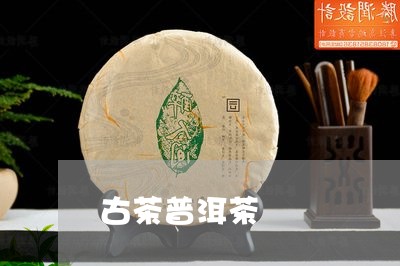 古茶普洱茶/2023090629503