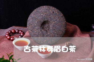 古茶林寿眉白茶/2023111623039