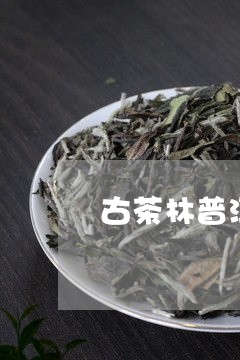 古茶林普洱茶/2023042867053