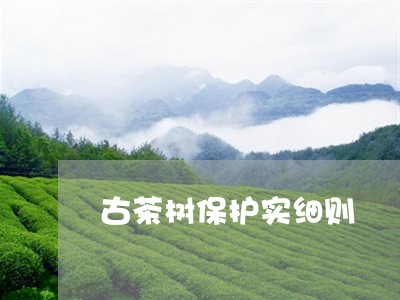 古茶树保护实细则/2023042289082