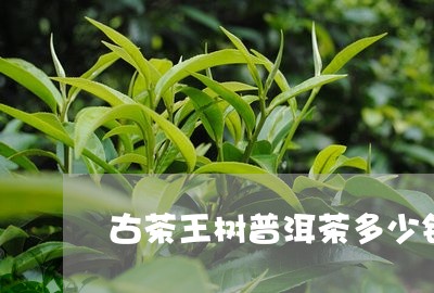 古茶王树普洱茶多少钱/2023120656369