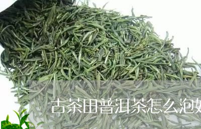 古茶田普洱茶怎么泡好/2023062973735