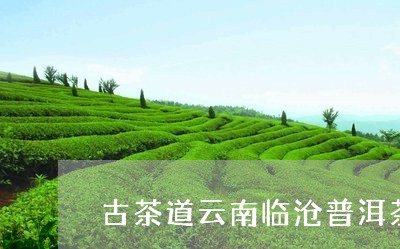 古茶道云南临沧普洱茶/2023080167371