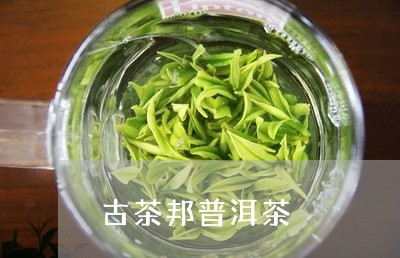 古茶邦普洱茶/2023042863440