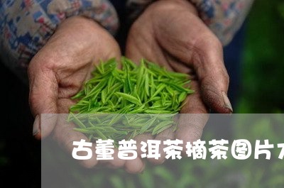 古董普洱茶摘茶图片大全/2023081791482