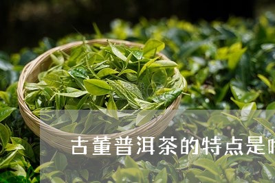 古董普洱茶的特点是啥/2023082973794