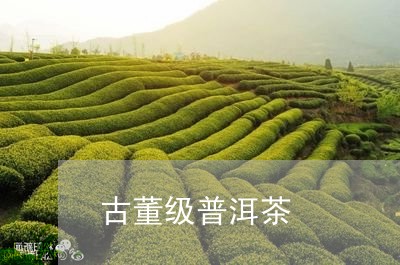 古董级普洱茶/2023042935378