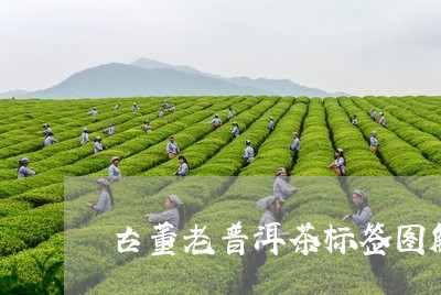 古董老普洱茶标签图解/2023082904928