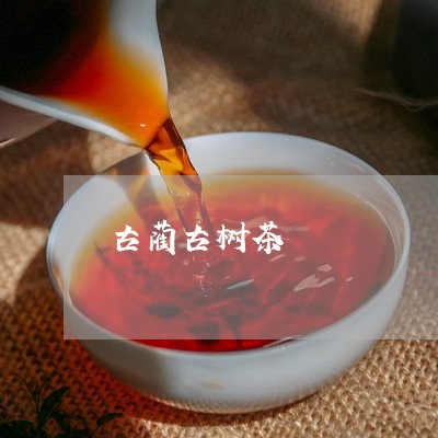 古蔺古树茶/2023041718551