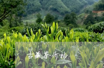 古藏茶价格/2023090262704