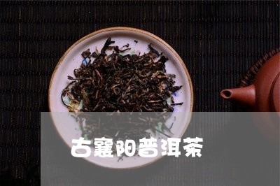 古襄阳普洱茶/2023042650534