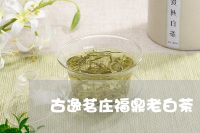 古逸茗庄福鼎老白茶/2023073158593