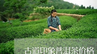 古道印象普洱茶价格/2023091458584