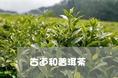 古道和普洱茶/2023042615073