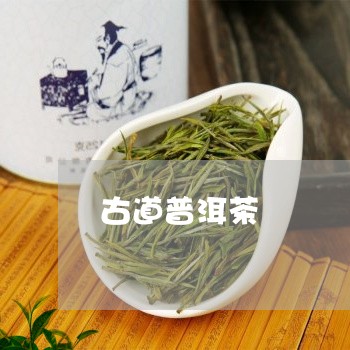 古道普洱茶/2023090676049