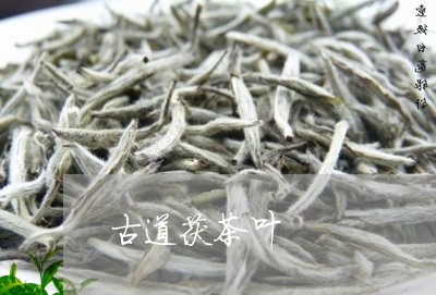 古道茯茶叶/2023041752022