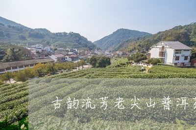 古韵流芳老尖山普洱茶/2023100802936