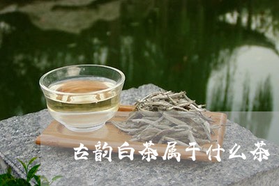 古韵白茶属于什么茶/2023121777270