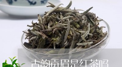 古韵贡眉是红茶吗/2023090788406