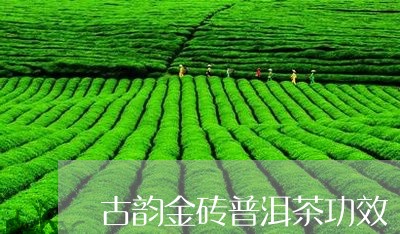 古韵金砖普洱茶功效/2023070840581