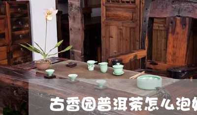 古香园普洱茶怎么泡好喝/2023110165149