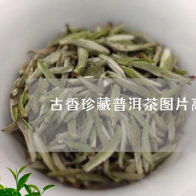 古香珍藏普洱茶图片高清/2023102472403