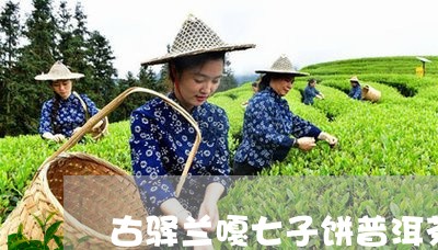 古驿兰嘎七子饼普洱茶/2023072293048