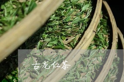 古龙红茶/2023121954824