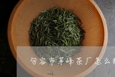 句容市茅峰茶厂怎么样/2023060999480