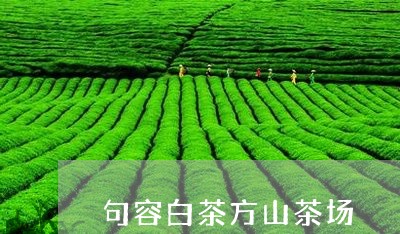 句容白茶方山茶场/2023061502838