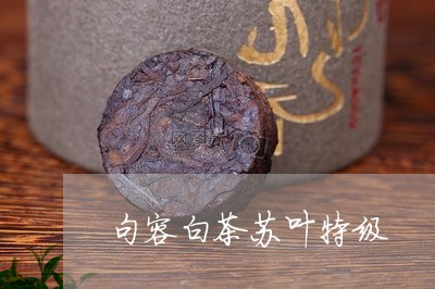 句容白茶苏叶特级/2023061575047