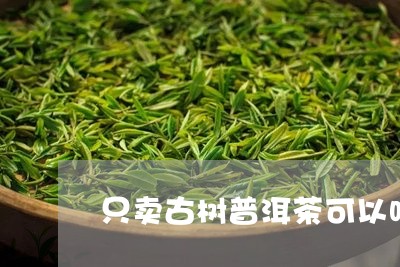 只卖古树普洱茶可以吗现在/2023082838392