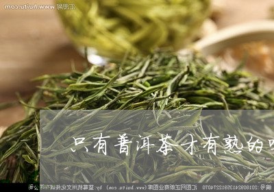 只有普洱茶才有熟的吗/2023120616472