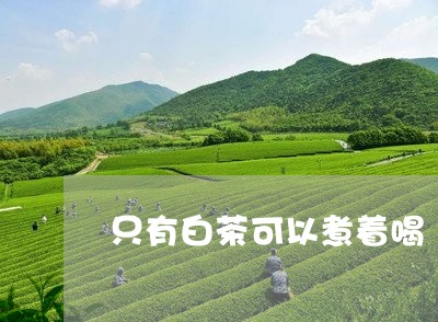 只有白茶可以煮着喝/2023071695828