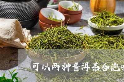 可以两种普洱茶合泡吗/2023092674947