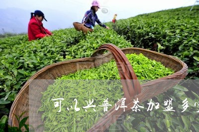 可以兴普洱茶加盟多少/2023061428369