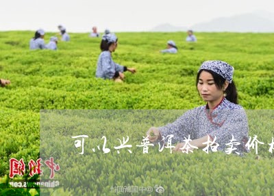 可以兴普洱茶拍卖价格/2023062332935