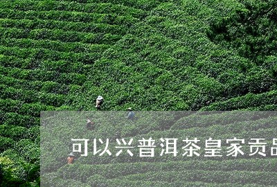 可以兴普洱茶皇家贡品/2023080110516