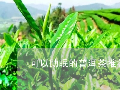 可以助眠的普洱茶推荐哪款/2023082908704