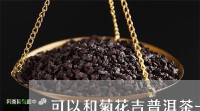 可以和菊花吉普洱茶一起煮吗/2023052840882