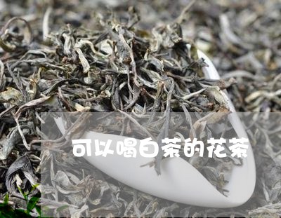 可以喝白茶的花茶/2023061594947