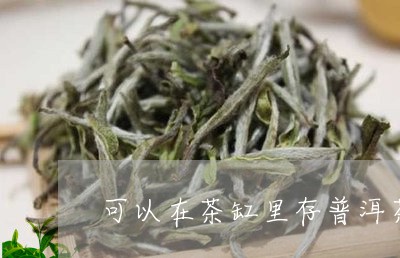 可以在茶缸里存普洱茶吗/2023120797360