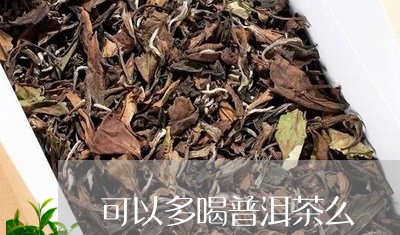 可以多喝普洱茶么/2023120479405