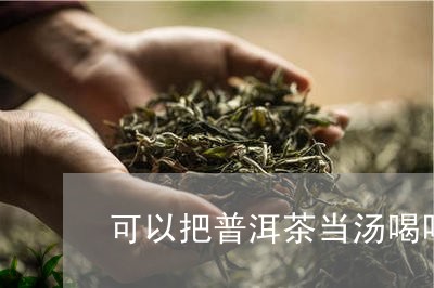 可以把普洱茶当汤喝吗/2023101707472