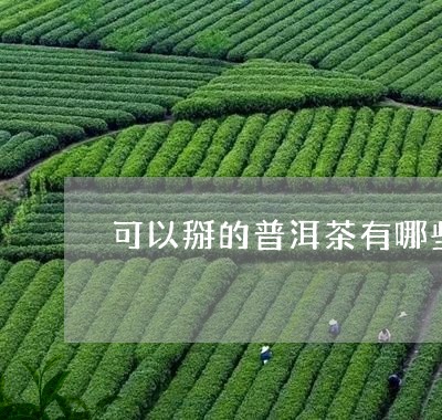 可以掰的普洱茶有哪些品牌/2023112597259