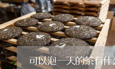 可以泡一天的茶有什么/2023071431714