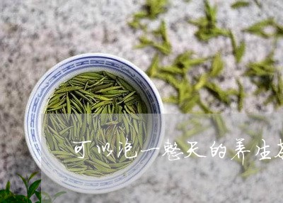 可以泡一整天的养生茶/2023071678169